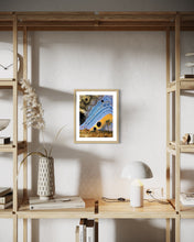 Load image into Gallery viewer, Curious Sun - 8&quot; x 10&quot; Print