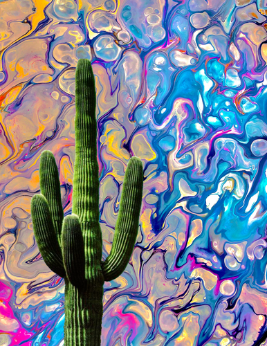 Ringos Desert - 8