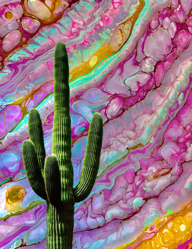 Ringos Desert III - 8