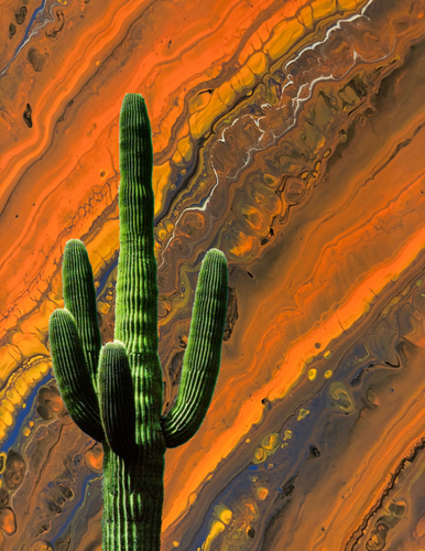Ringos Desert II - 8